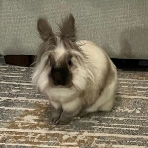 Meet your Posher, Jan